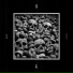 Trepaneringsritualen