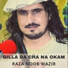 Raza Noor Wazir