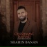 Shahin Banan