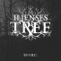Ilienses Tree