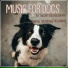 Dog Music, Dog Therapy Zone