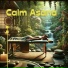 Calm Music Zone