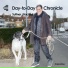 Daniel Backes, Andreas Suttner