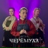 Цветень