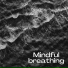 Deep relaxation, BODY SCAN, Gratitude focus
