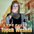 Zps Geets
