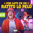 El Pepo