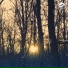 Slowflight