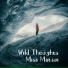 Misa Matsui