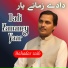 Bahadar Zaib
