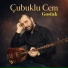 Çubuklu Cem