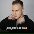 МИЧЕЛЗ