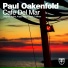 Paul Oakenfold