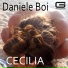 Daniele Boi