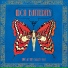 Iron Butterfly