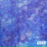 ONO1