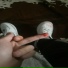 Keezy295