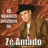 Zé Amado