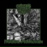 Catacomb Abscess