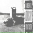 mv17