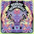 Acid Talk
