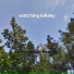 Harmonious Healing