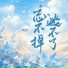 刘芮