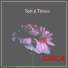 Tori 2 Timez