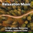 Yoga Music, Relaxing Music, Yoga