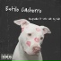 Easydealler feat. SMC slat, Og Vida