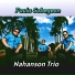 Nahanson Trio
