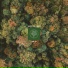 Beats for Trees feat. Mr. Käfer