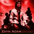Zayn Adam