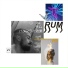 Rum