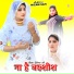 Nizam Safi, Shaan Singer Mewati