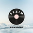 Zhvidvr