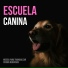 Música Relajante para Perros