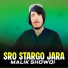 Malik Showqi