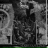 Throneum