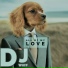 DJ Wuff, Laurenzo Tozzi