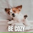 The Sleepy Sounds