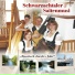 Schwarzachtaler Saitenmusik