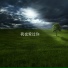陶寻南