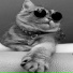 DJ MEONG