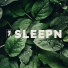 SLEEPN