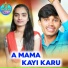 Bala Krishna S