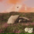 Noah Klein, Cozy, Cozy Piano