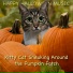 Happy Halloween Music