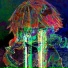 XENOPHEX