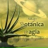 Botanica magia